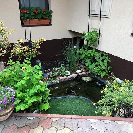 Milla Apartman Szentendre Extérieur photo