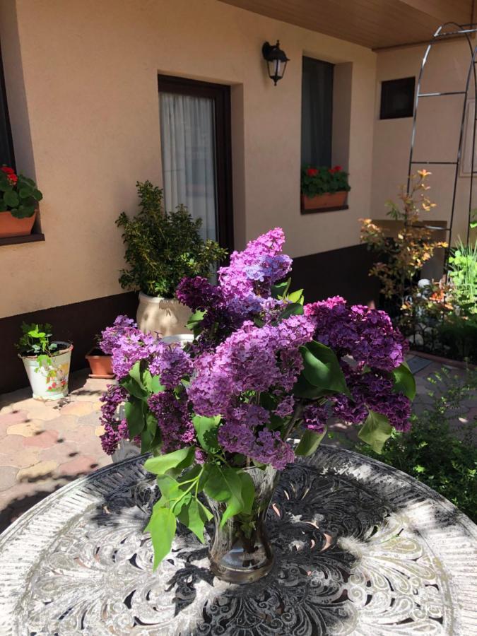Milla Apartman Szentendre Extérieur photo